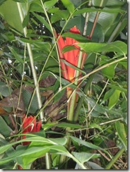PB260447