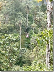 PC070335