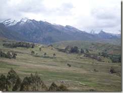P1000137