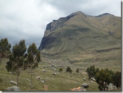P1000138
