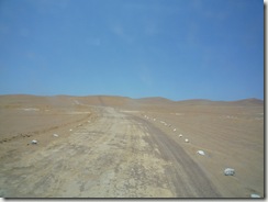 P1000295