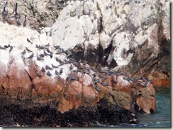 P1050084
