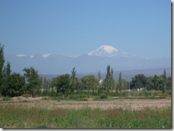 P1010210