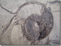 P3130115