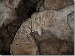 P3130156