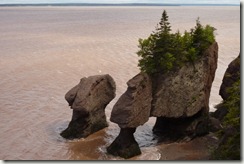 P1020213