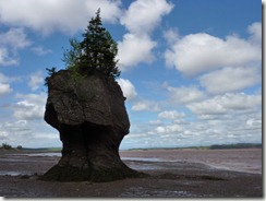 P1020241