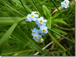P1020314