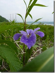 P1020357