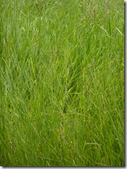 P1020478
