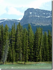 P1020539