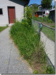 P1020544