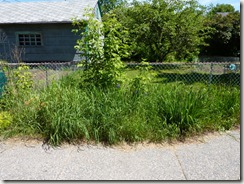 P1020545